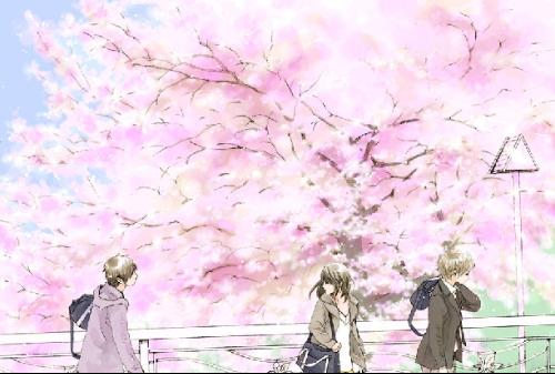 深入了解 今日看料.Com